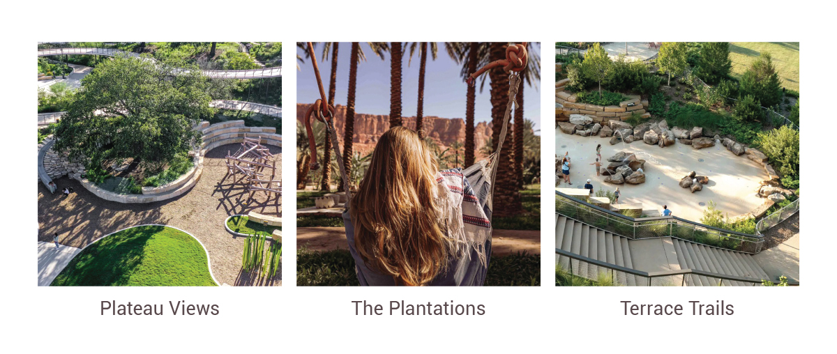 New Chapter - The Valley